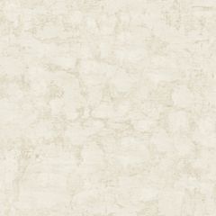 Welcome Home Plaster Texture Wallpaper