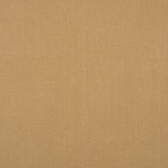 York Textures Big Game Wallpaper Gold Tone