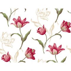 Ashford House Blooms  Tulip Wallpaper