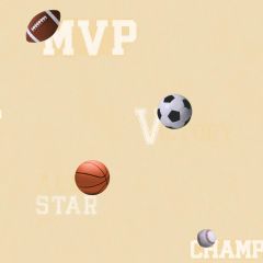 Boys Will Be Boys Sports Ball Wallpaper