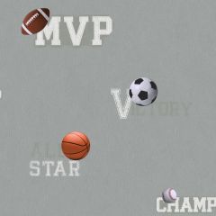 Boys Will Be Boys Sports Ball Wallpaper