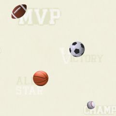 Boys Will Be Boys Sports Ball Wallpaper