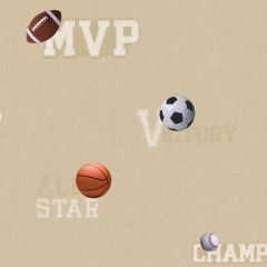 Boys Will Be Boys Sports Ball Wallpaper