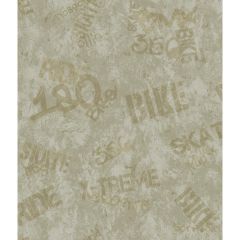 Boys Will Be Boys X-Treme Sports Wallpaper