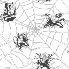 Boys Will Be Boys Spiderman Web Wallpaper