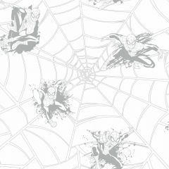 Boys Will Be Boys Spiderman Web Wallpaper