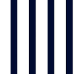 Boys Will Be Boys Wide Stripe Pinstripe Wallpaper