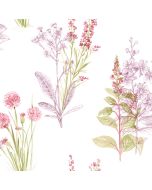 AB42444 Flora Wallpaper Cream, Purple, Pink, Green Abby Rose 3 Norwall Wallcovering