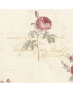 CG28860 Script Rose Wallpaper Red, Tan, Metallic Gold Garden 2 Norwall Wallcovering