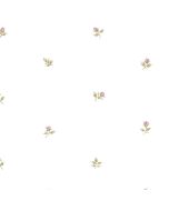 CG28872 Rose Buds Wallpaper Pink, Ochre, Green Garden 2 Norwall Wallcovering
