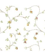CK36607 Fruit Trail Wallpaper Yellow, Red, Beige CREATIVE KITCHENS Norwall Wallcovering