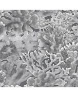 FH37503 Coral Wallpaper Grey, Dove, Charcoal, Black Farmhouse Living Norwall Wallcovering