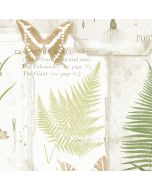 FK34415 Parchment Ferns Wallpaper Beige, Green Fresh Kitchens 5 Norwall Wallcovering