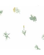 KC18532 Herb Sidewall Wallpaper Yellow, Greens Kitchen Elements Norwall Wallcovering