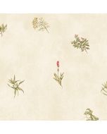 KE29916 Herb Sidewall Wallpaper Cream, Green, Red Kitchen Elements Norwall Wallcovering