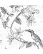 MH36529 Toucan Toile Wallpaper Black Manor House Norwall Wallcovering