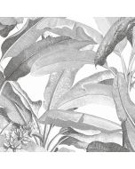 MH36533 Polynesian Leaves Wallpaper Black and white Manor House Norwall Wallcovering
