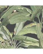 MH36535 Polynesian Leaves Wallpaper Black, Green Manor House Norwall Wallcovering