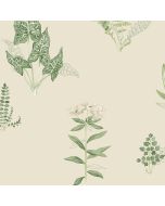 PA34226 Ferns Wallpaper Cream, Green Paradise Norwall Wallcovering
