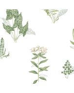 PA34227 Ferns Wallpaper Green, Beige Paradise Norwall Wallcovering