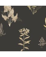 PA34228 Ferns Wallpaper Yellow, Black Paradise Norwall Wallcovering