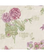 PA34247 Botany Floral Wallpaper Taupe, Purple, Green Paradise Norwall Wallcovering