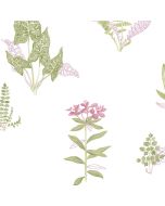 PA34248 Ferns Wallpaper Pink, Green Paradise Norwall Wallcovering
