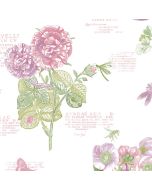 PA34249 Botany Floral Wallpaper Pink, Purple, Green Paradise Norwall Wallcovering