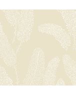 PA34253 Feather Wallpaper Taupe Paradise Norwall Wallcovering