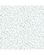 PP35539 Rainbow Mini Wallpaper Blue, Green Pretty Prints 4 Norwall Wallcovering