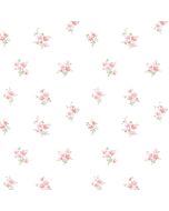 PR33842 Delicate Daisies Wallpaper Pink, Green Floral Prints 2 Norwall Wallcovering