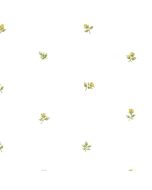 RG35721 Rose Buds Wallpaper Yellow, Green Garden 2 Norwall Wallcovering