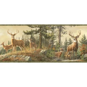 Garth Sand Whitetail Crest Portrait Wallpaper Border Chesapeake BBC48461B