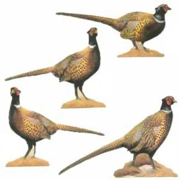 Pheasant Wallpaper Cutouts-3 packs left