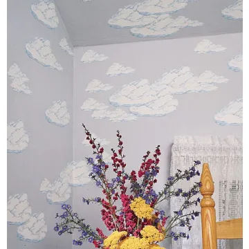 Cloud Wallies