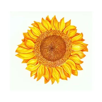 Sunflower Wallies