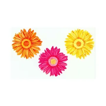 Gerber Daisy Wallies
