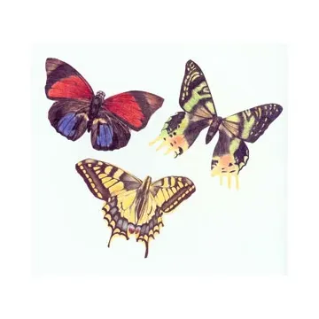 Butterfly Wallies