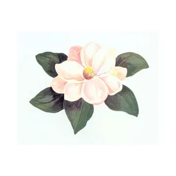 Magnolia Wallies
