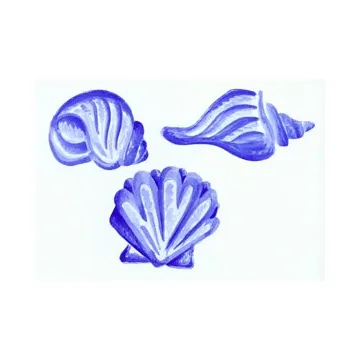 Seashell Wallies