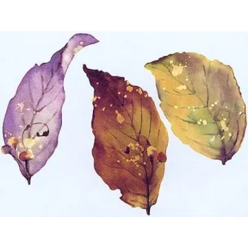 Leaf Wallies