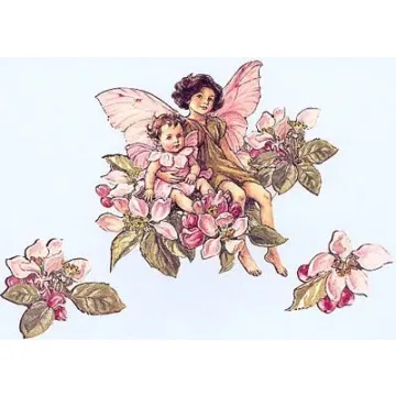Apple Blossom Flower Fairies Wallies