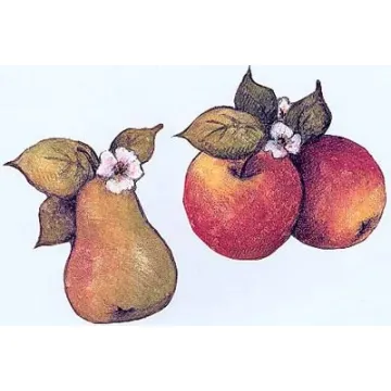 Susan Winget Fruit Wallies
