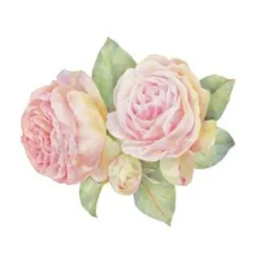 Romanza Rose Wallies