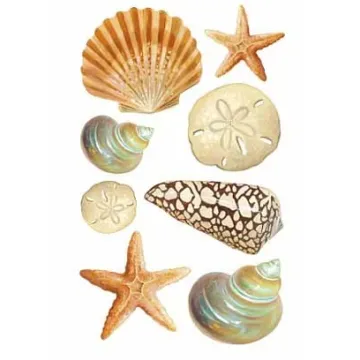 Seashell Vinyl Decal Wallies