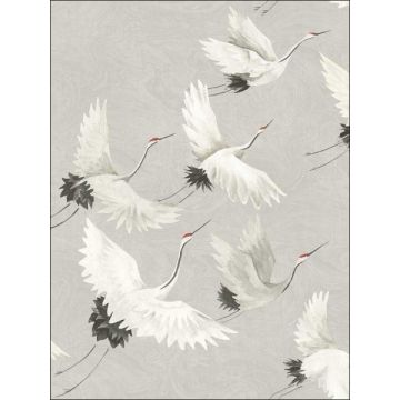 Windsong Bird Grey Wallpaper