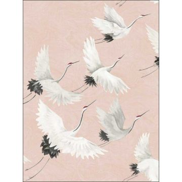 Windsong Bird Pink Wallpaper