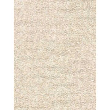 Cosmic Geometric Champagne Wallpaper
