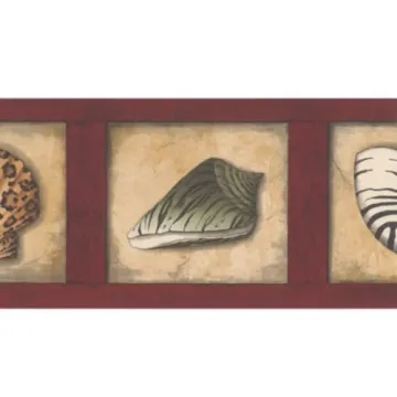 Animal Print Seashells Wallpaper Border by Imperial