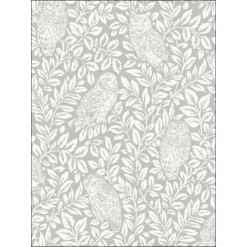 Parliament Owl Light Grey Wallpaper